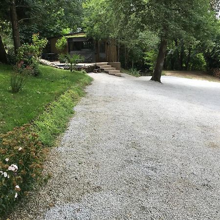 Bus Atypique Au Bord Du Canal Du Midi Et Au Coeur D'Une Foret 2 Chambres Villepinte  エクステリア 写真