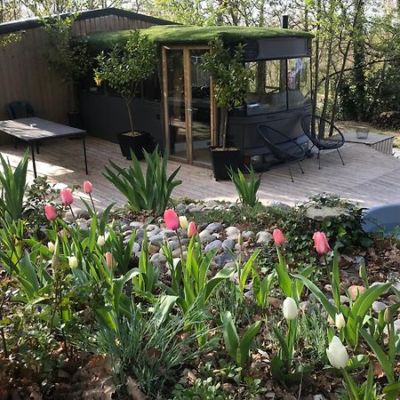 Bus Atypique Au Bord Du Canal Du Midi Et Au Coeur D'Une Foret 2 Chambres Villepinte  エクステリア 写真