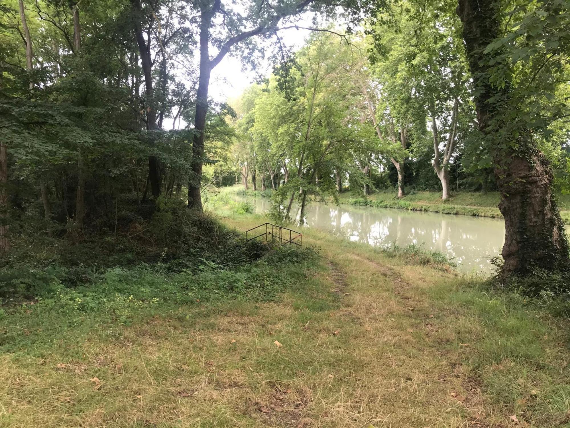Bus Atypique Au Bord Du Canal Du Midi Et Au Coeur D'Une Foret 2 Chambres Villepinte  エクステリア 写真