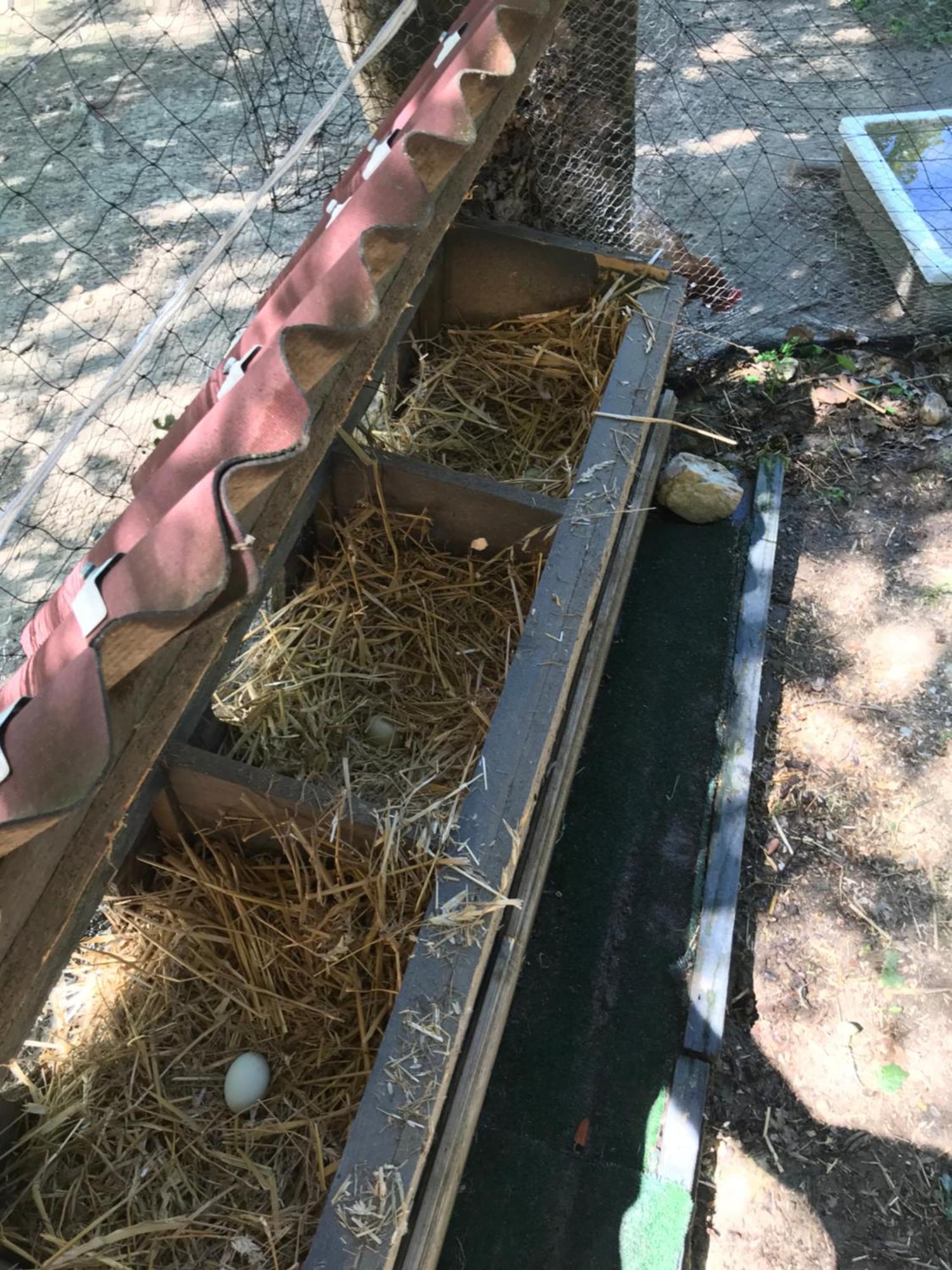 Bus Atypique Au Bord Du Canal Du Midi Et Au Coeur D'Une Foret 2 Chambres Villepinte  エクステリア 写真